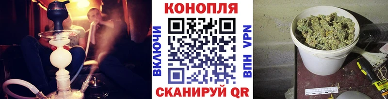 мориарти клад  гидра маркетплейс  Адыгейск  Шишки марихуана конопля 